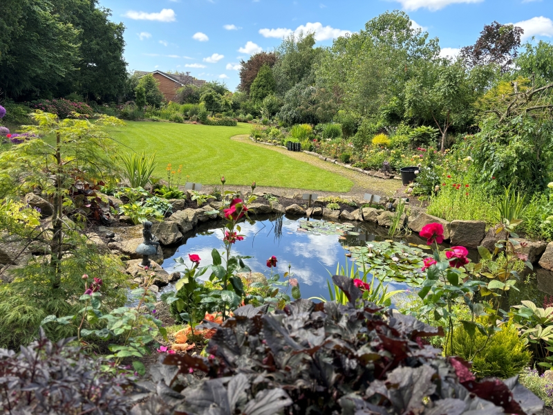 Weeping Ash Garden